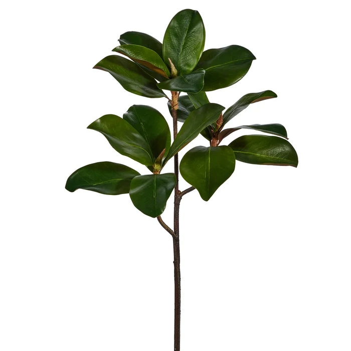 24" Magnolia Leaf Branch