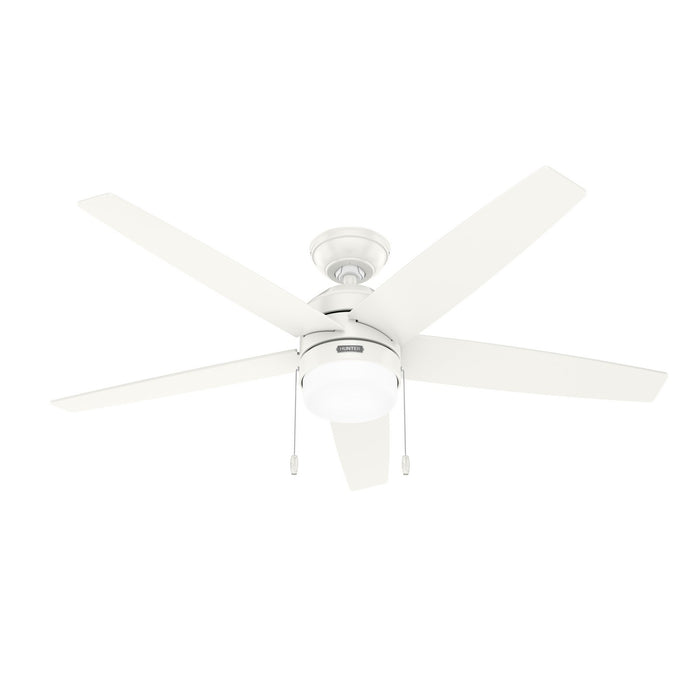 Bonnie 52" Fan