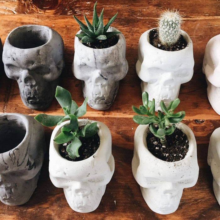 Golden Gems - Skull Planters - White