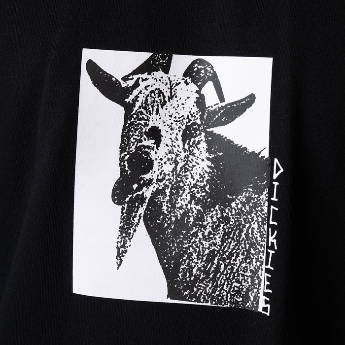 DK0A8672BLK-A8