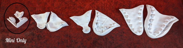 Realistic Goat/Sheep Static Jaw Head Base
