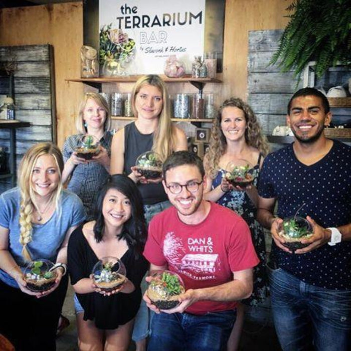 Single Ticket: Onsite Terrarium Party