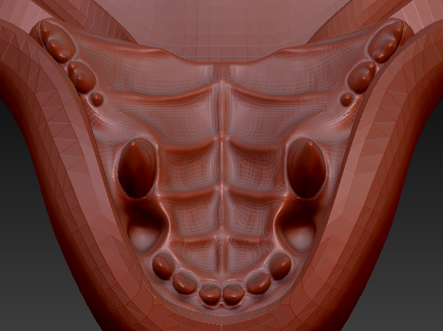 Small Bear Realistic Style Jawset