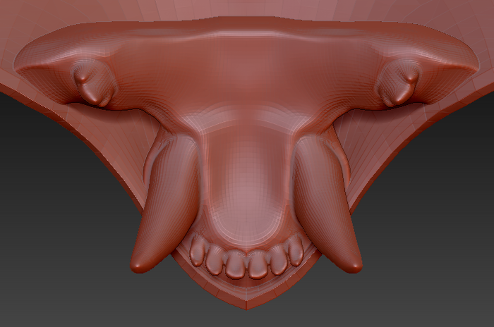Small Feline Realistic Style Jawset