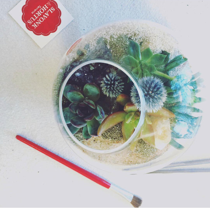 Small globe terrarium rental