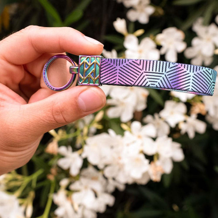 ZOXLOX - Single Multicolor