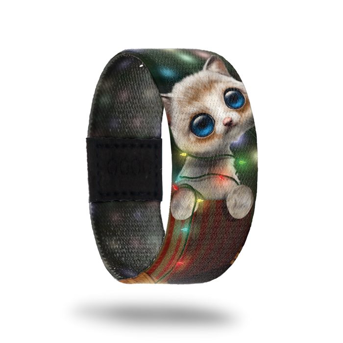 All I Want For Christmas Is You-Sold Out-ZOX - This item is sold out and will not be restocked. A white furry kitten with giant blue eyes, sitting ina gift box with lights all around her. Inside is the same and says All I Want For Christmas.