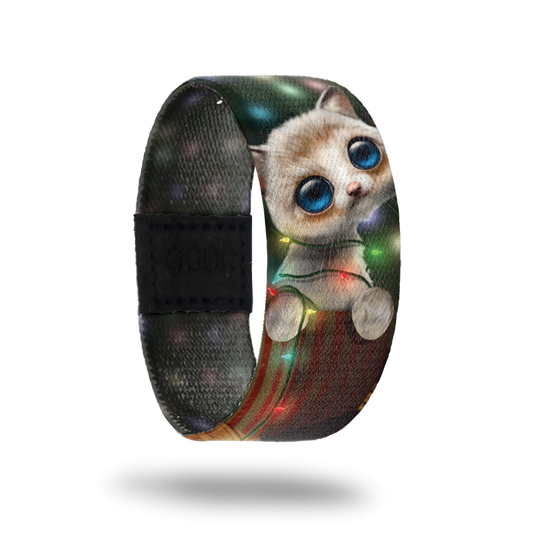 All I Want For Christmas Is You-Sold Out-ZOX - This item is sold out and will not be restocked. A white furry kitten with giant blue eyes, sitting ina gift box with lights all around her. Inside is the same and says All I Want For Christmas.