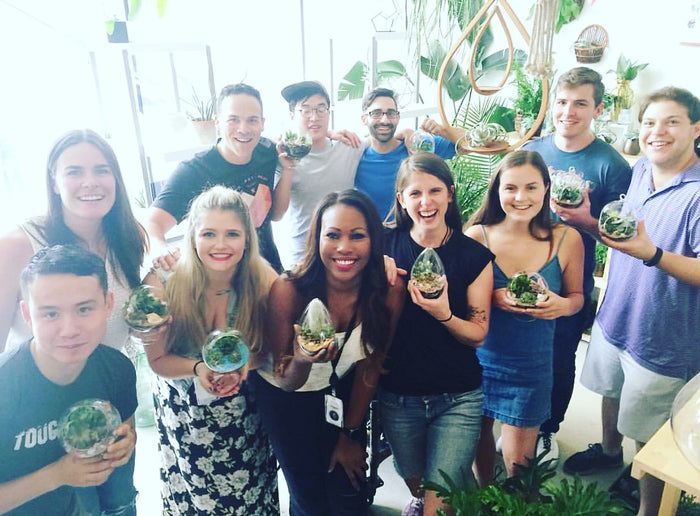 Ava’s Farewell Plant Party