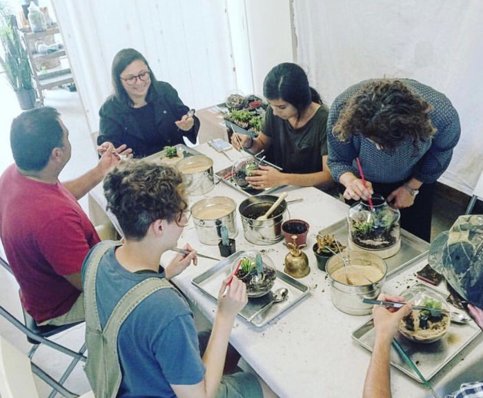 Ava’s Farewell Plant Party