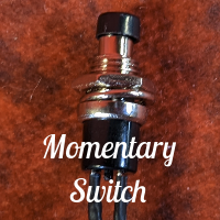 Blush Kit Switch (optional)
