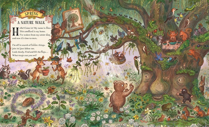 Book - Brown Bear Wood: Here We Go - Spread 01