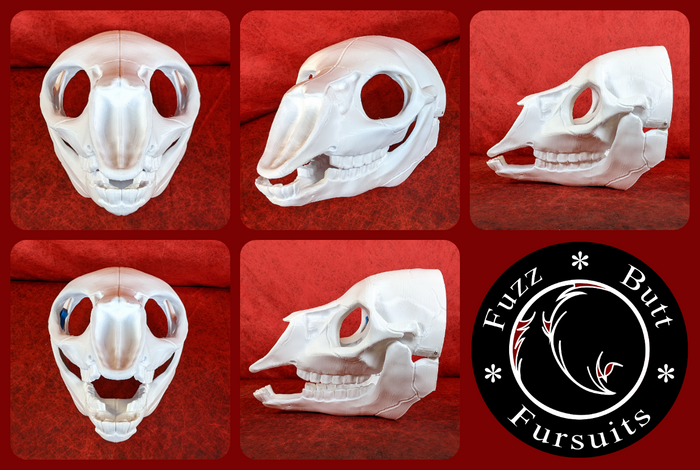 Bovine/Cervine Skull