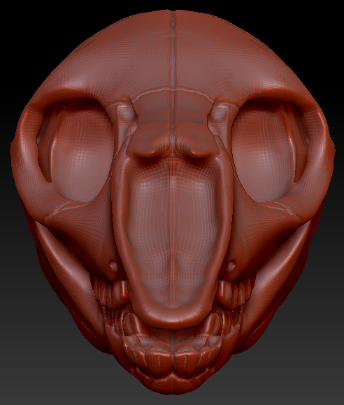 Bovine/Cervine Skull