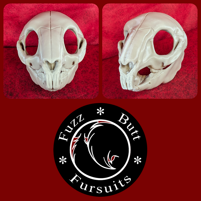 Bunny/Rodent Skull