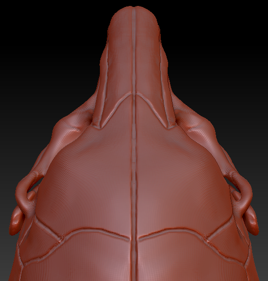 Bunny/Rodent Skull