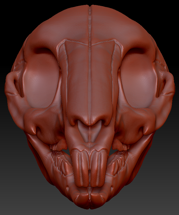Bunny/Rodent Skull