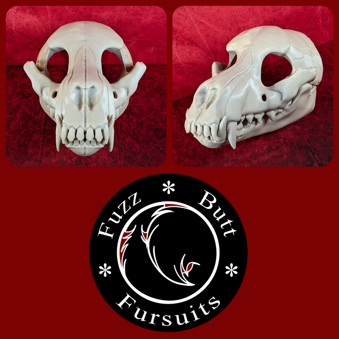 Canine Skull