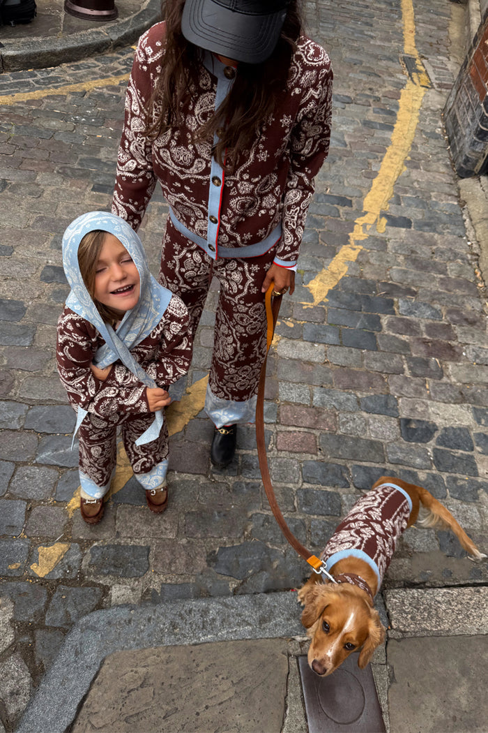 Chocolate Bandana Dog Jumper on a pup, styled with matching family knitwear on a cobbled London street.