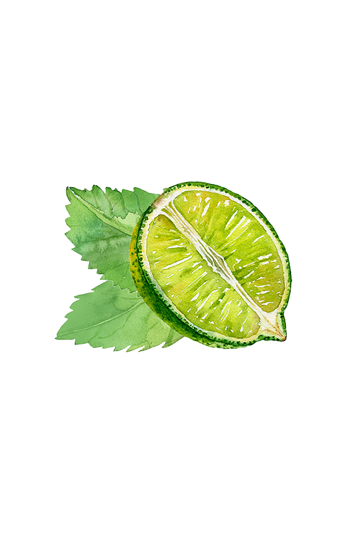 Rustic Strength - botanical image depicting a half lime with peppermint leaves behind, representing Mint & Lime scent