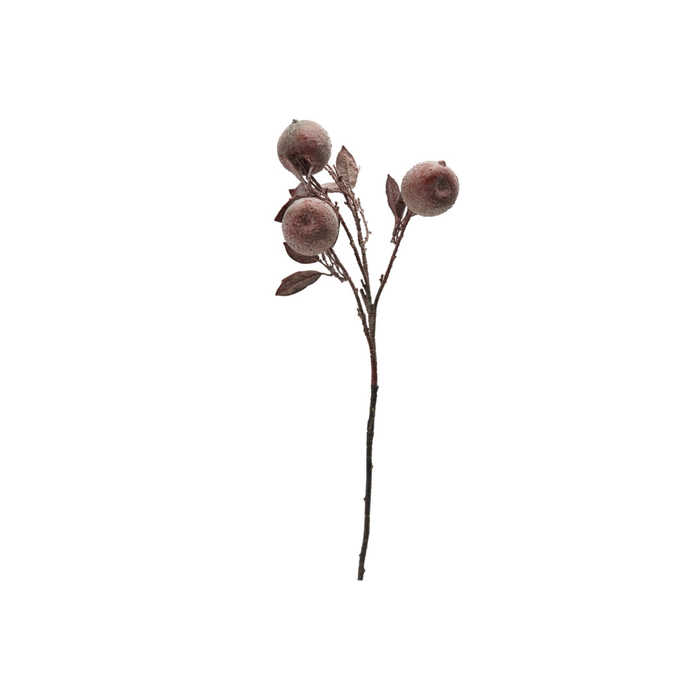 Crab Apple Stem