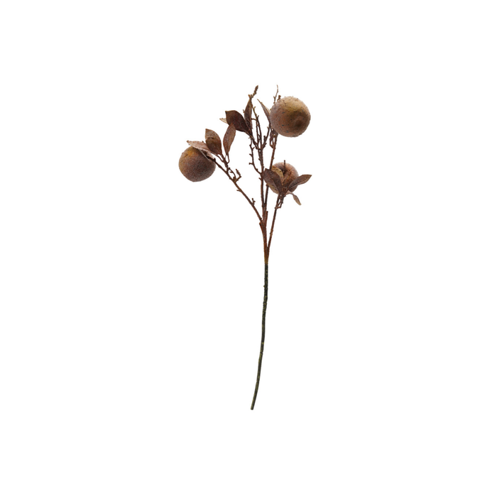 Crab Apple Stem