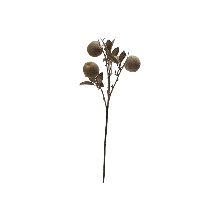 Crab Apple Stem
