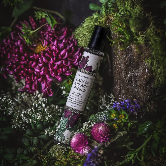 Dahlia + Black Amber | Perfume Oil 10.5Ml Roller Body Care