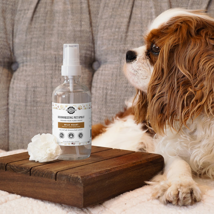 Rustic Strength, Small Dog on a couch with a bottle of Deodorizing Pet Spray