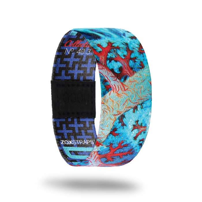 Divaricate-Sold Out-ZOX - This item is sold out and will not be restocked.