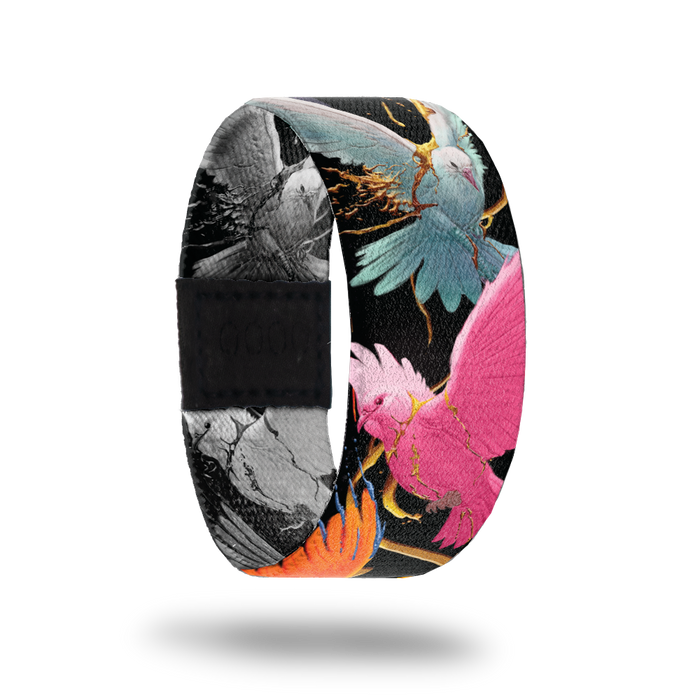 Outside Design of Excelsior: black background with bright colored birds and branches