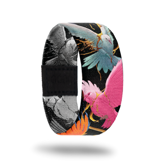 Outside Design of Excelsior: black background with bright colored birds and branches