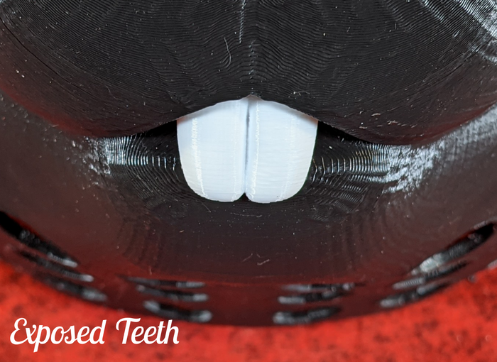 Exposed Top Teeth