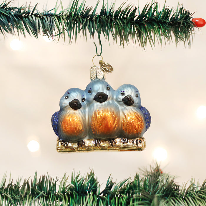 A Christmas tree ornament of three blue and orange birds sitting side by side on a branch, hanging from a green tree with blurred white lights in the background.