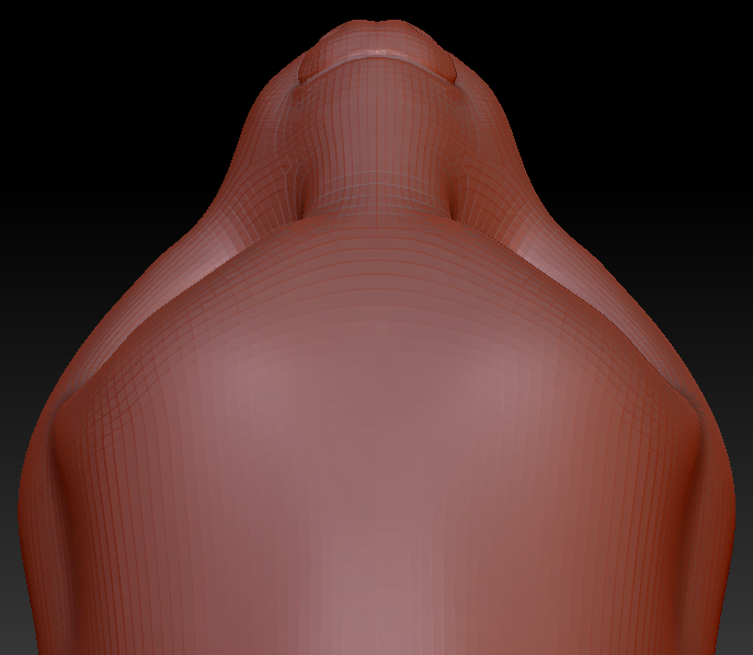 Feminine Beaver Head Base