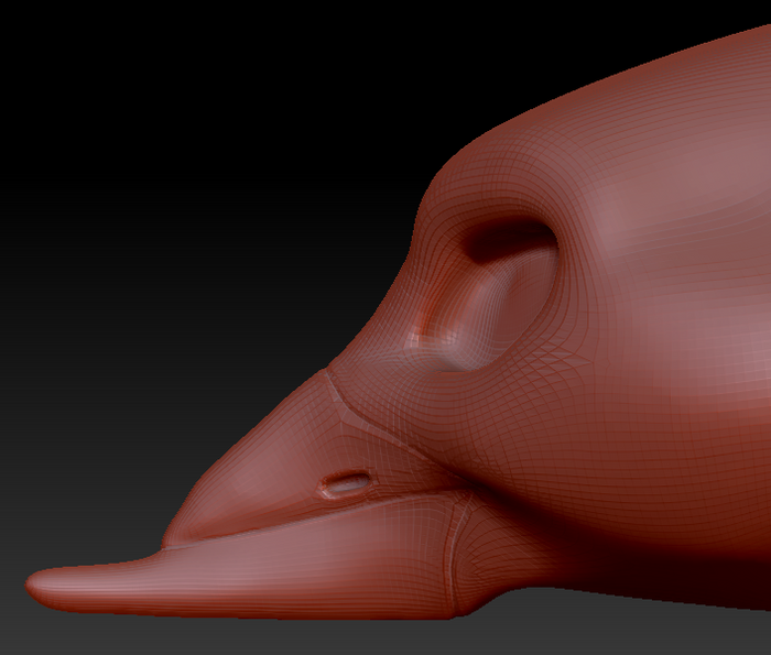 Feminine Black Skimmer Head Base