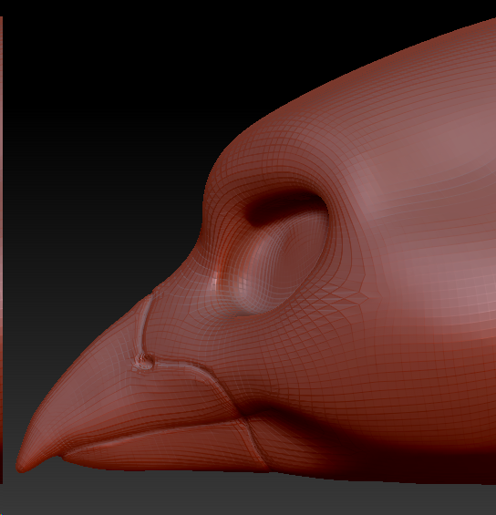 Feminine Blue Jay Head Base