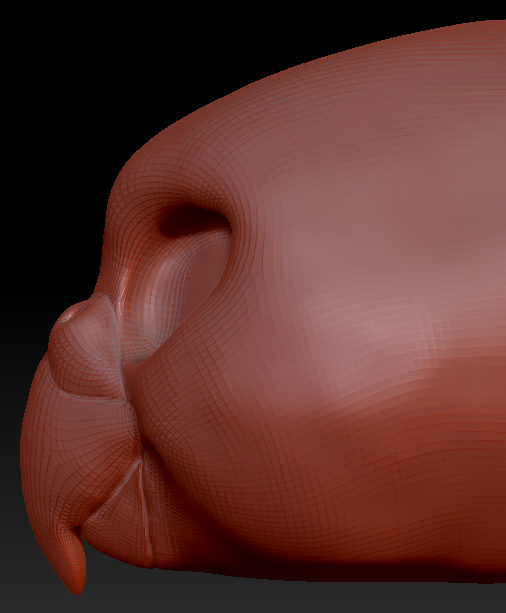Feminine Budgie Head Base