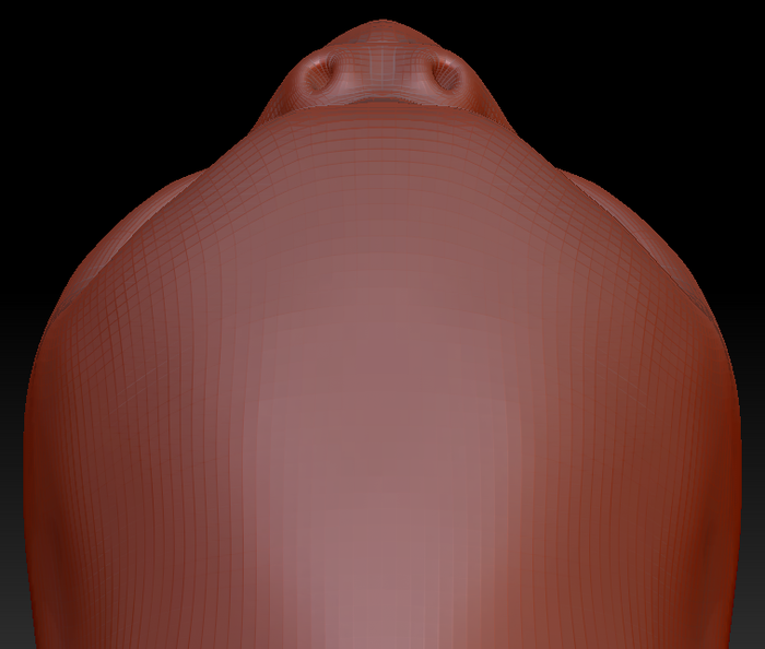 Feminine Budgie Head Base
