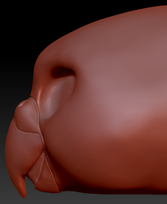 Feminine Budgie Static Jaw Head Base