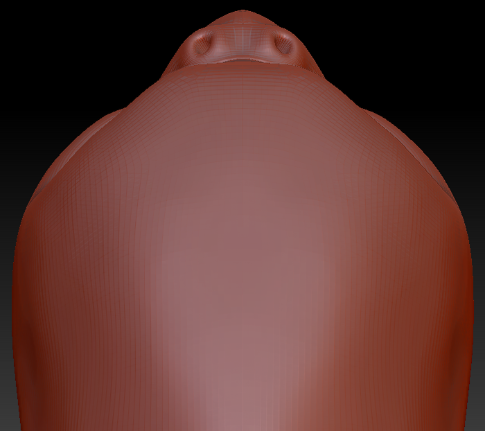 Feminine Budgie Static Jaw Head Base