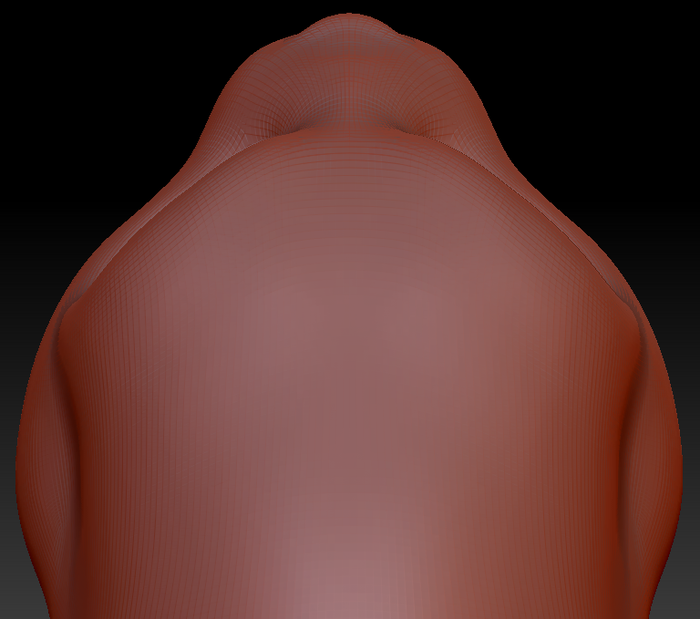 Feminine Bunny Static Jaw Head Base