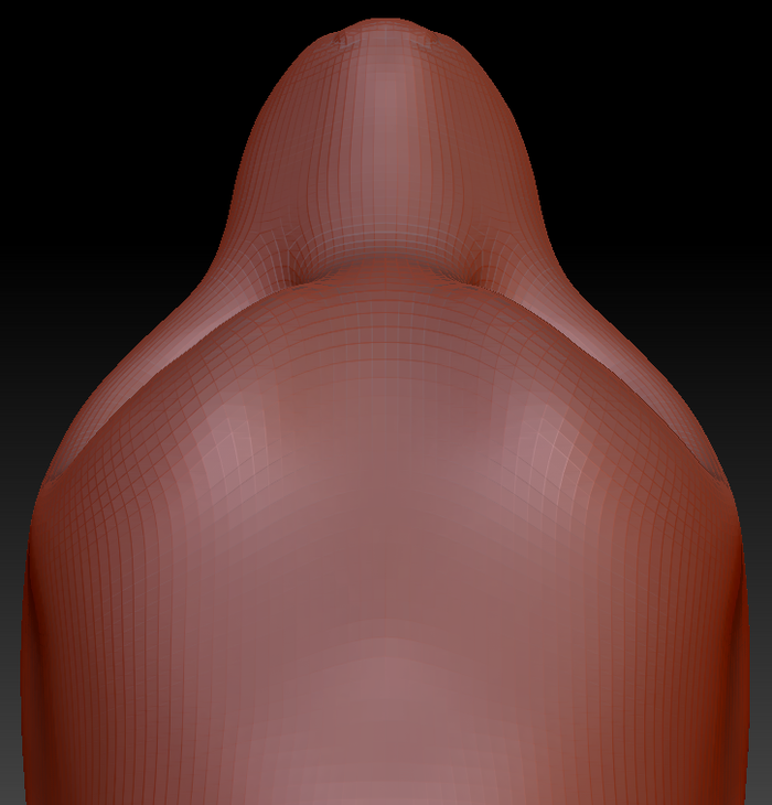 Feminine California Sea Lion Head Base