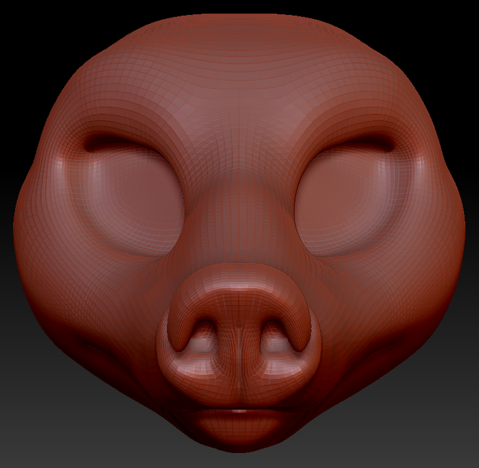 Feminine Coatimundi Head Base