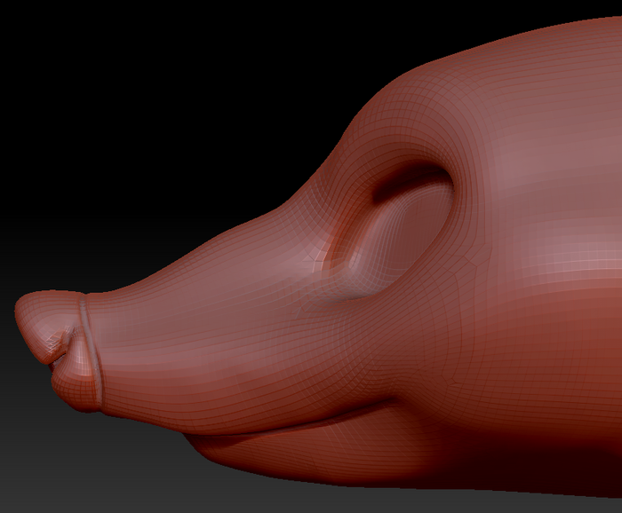 Feminine Coatimundi Head Base