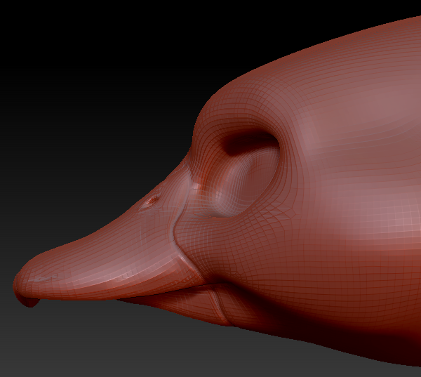 Feminine Duck Head Base Variant 1
