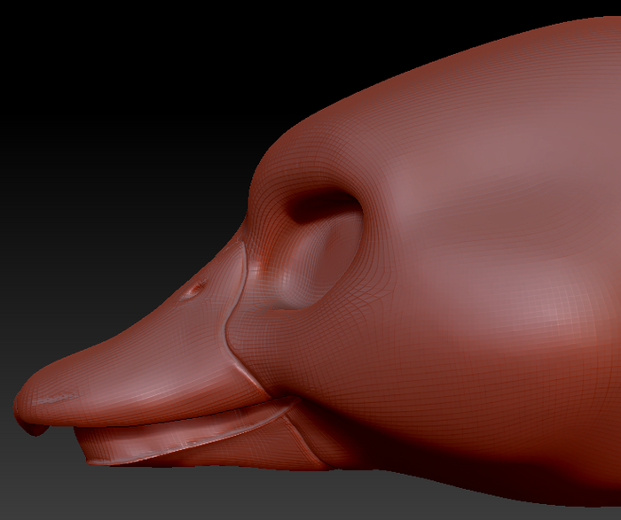 Feminine Duck Static Jaw Head Base