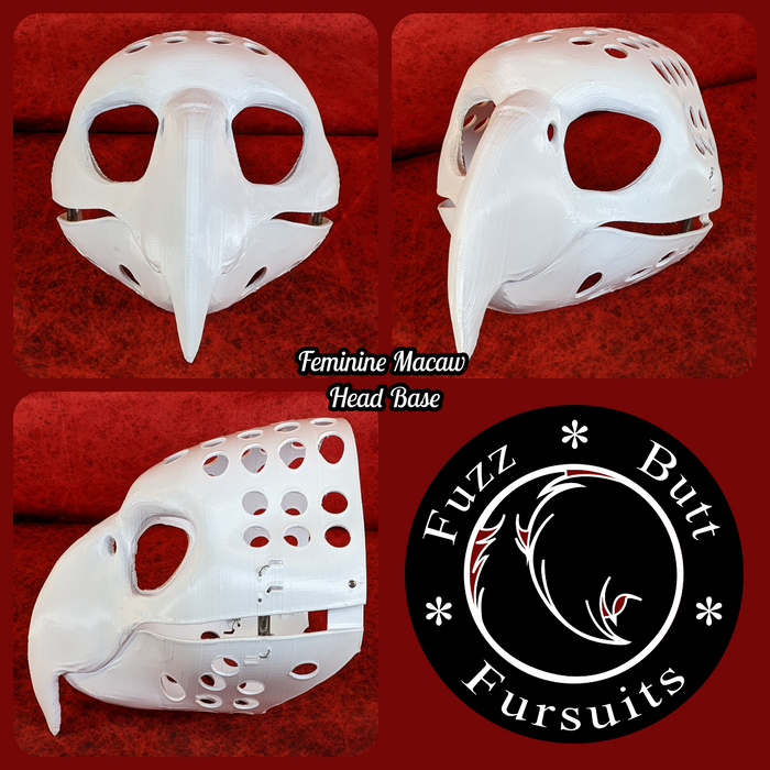 Feminine Macaw Parrot Head Base