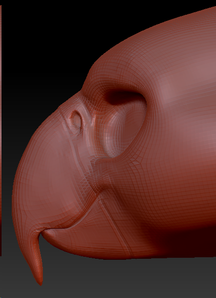 Feminine Macaw Parrot Head Base