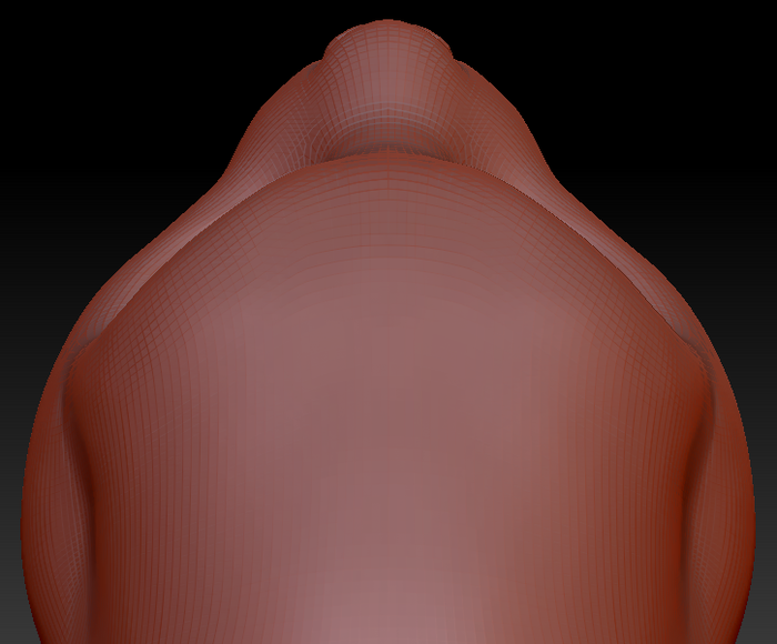 Feminine Pallas Cat Head Base
